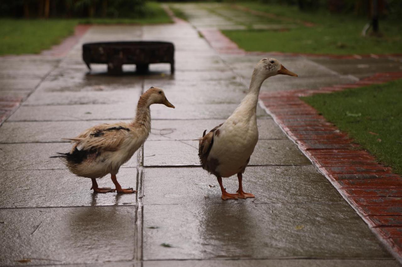 Brown Town Resort & Spa Hyderabad Esterno foto
